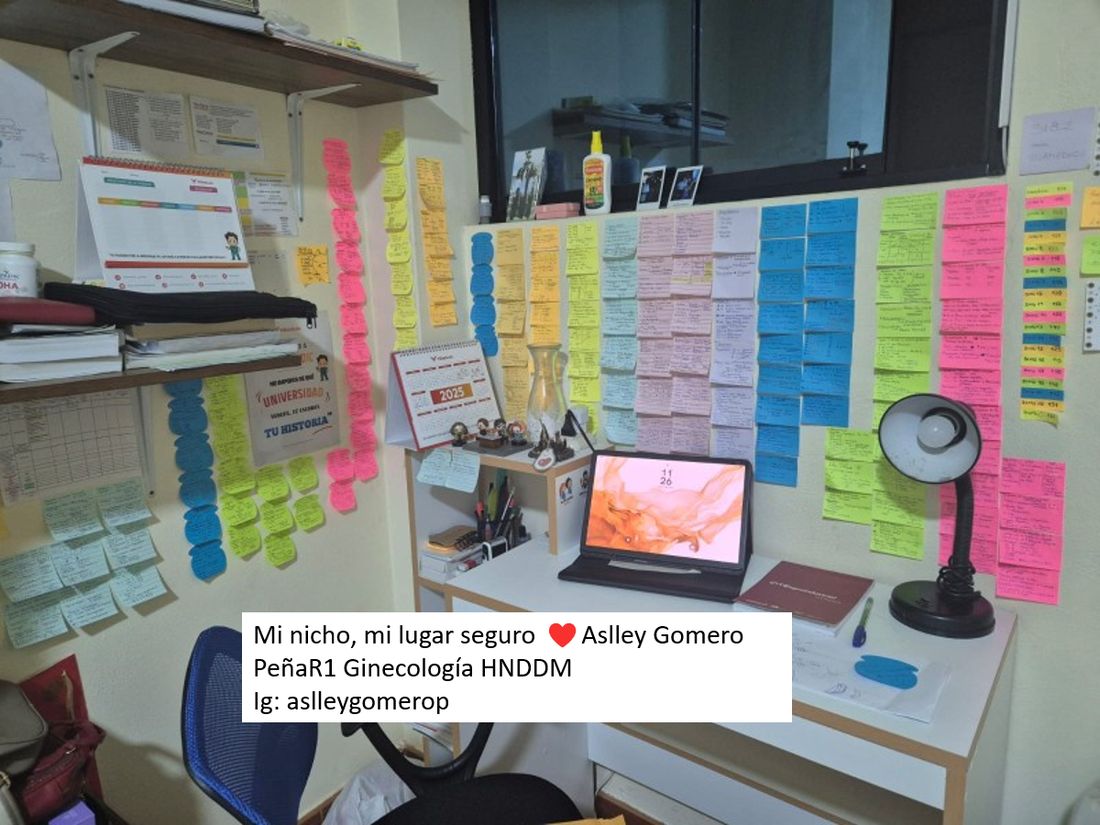 El nicho y los ingresantes 33