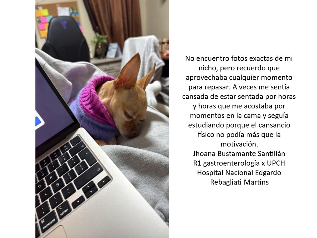 El nicho y los ingresantes 9
